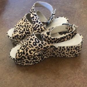 Cheetah shoes